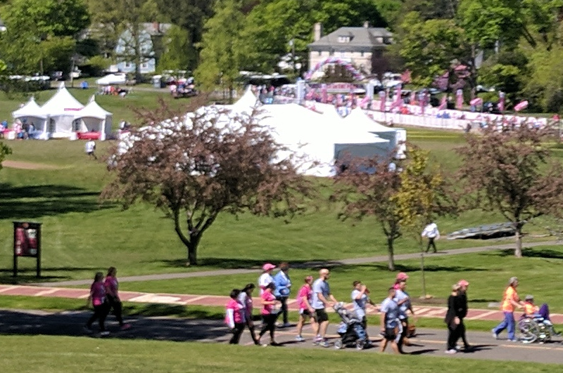 Race in the Park Held to Support Breast Cancer Education and Research