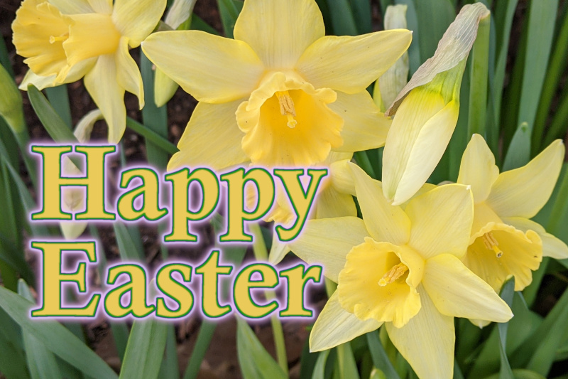 Happy Easter from the New Britain Progressive