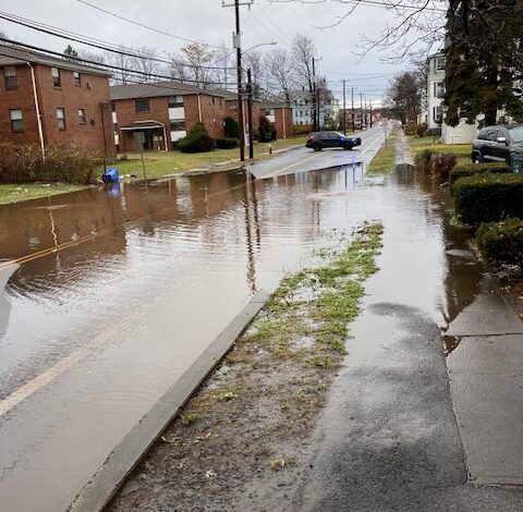 Officials Provide Update On Allen Street Project to Upgrade Stormwater System