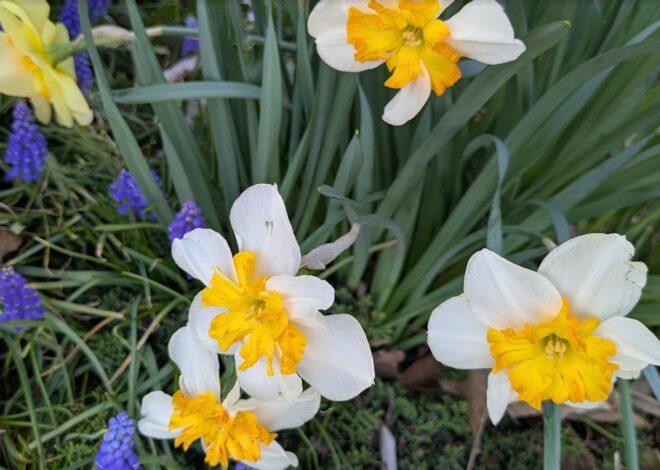 Community Events and Meetings in New Britain from May 19th to 25th