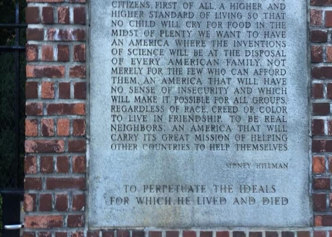 How Mamdani’s Message Trumped the Establishment in NYC