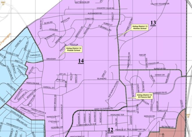 Primary Day Arrives for Ward 4 Council Nomination