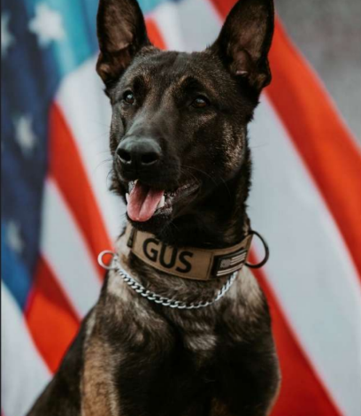 Art Schaller and Hometown Foundation Bring New K-9 Gus to New Britain Police