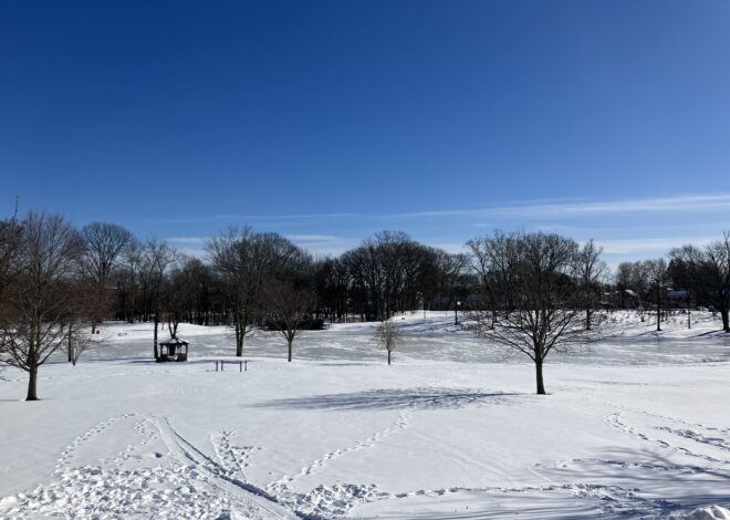 New Britain Week in Review