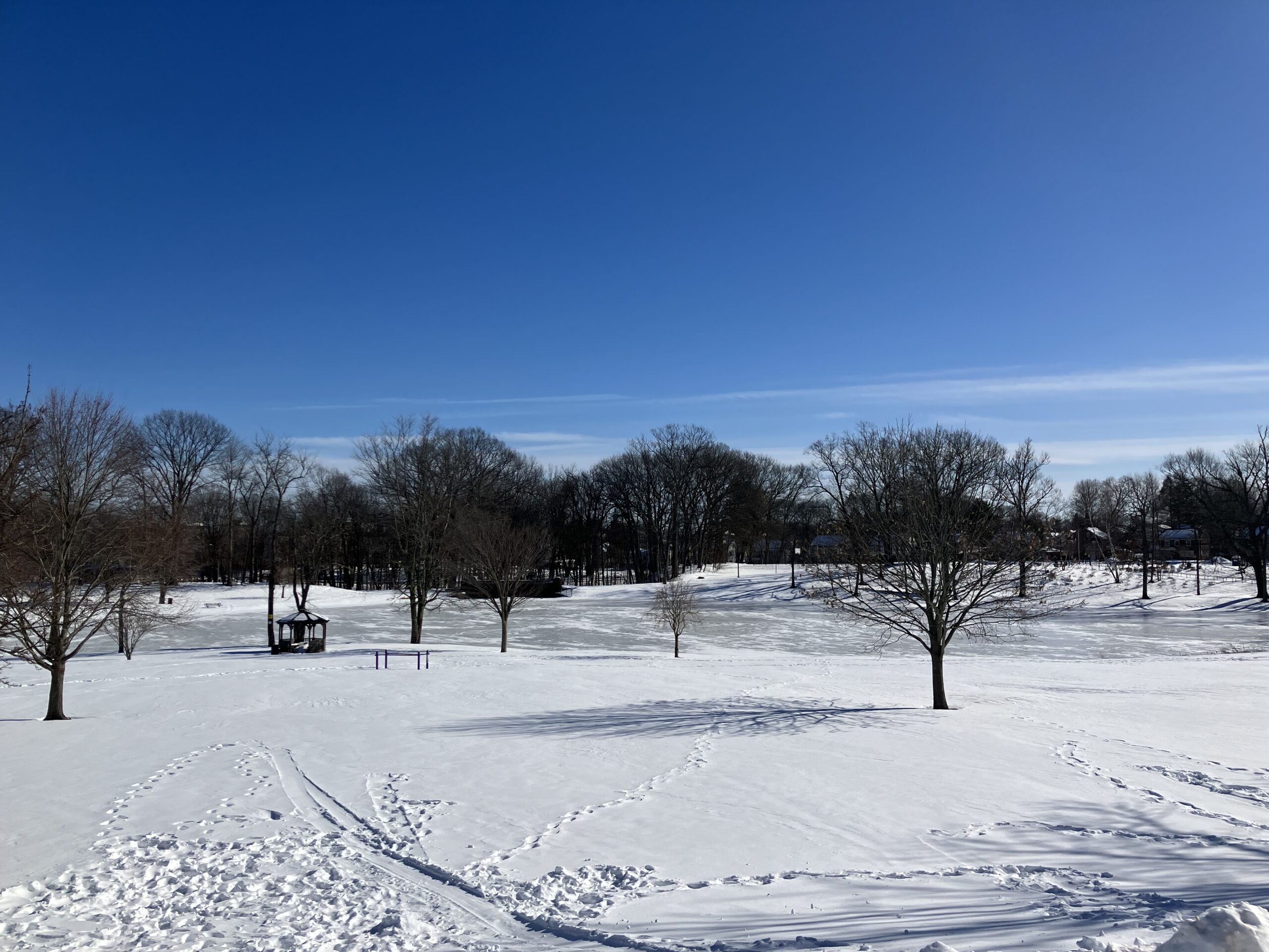 New Britain Week in Review